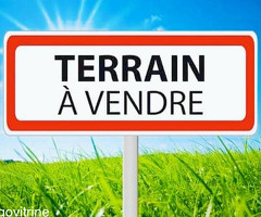 Vente