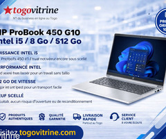 Ordinateur Portable HP ProBook 450 G10 – Intel i5 / 8 Go / 512 Go SSD (Neuf Scellé)