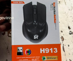 Souris Sans Fil Gamer & Bureautique Chaozhifeng H913 avec Éclairage LED RGB