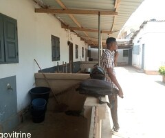 Maison sur un lot à vendre à Djidjole