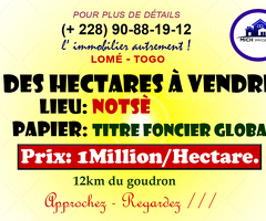 Terrain à vendre 